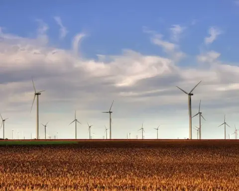 Rows of wind turbines at the Smoky Hills Wind Farm on Kansas ranchland.