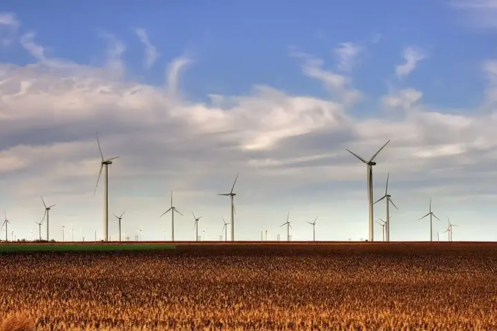 Rows of wind turbines at the Smoky Hills Wind Farm on Kansas ranchland.