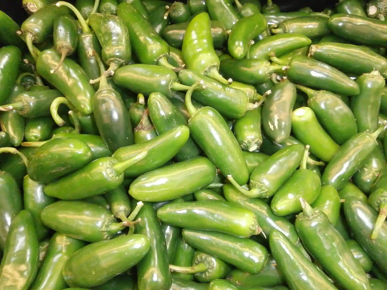 Salmonella Outbreak Sickens 345 Across 27 States as Mexican Jalapenos Are Pulled From Chipotle and QDOBA
