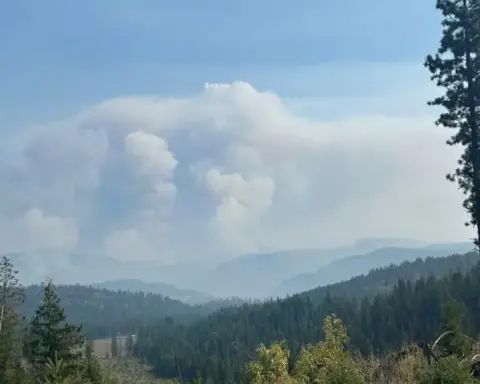 A pyrocumulus smoke column rising above forested ridges in Washington state.
