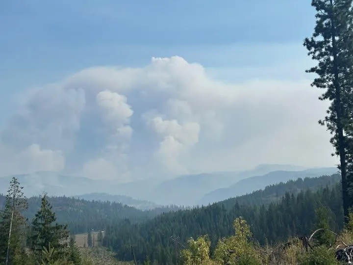A pyrocumulus smoke column rising above forested ridges in Washington state.