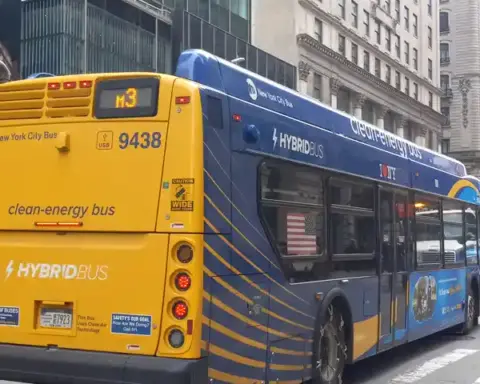 New York City MTA bus on a street with dedicated transit lane, representing protected bus lanes