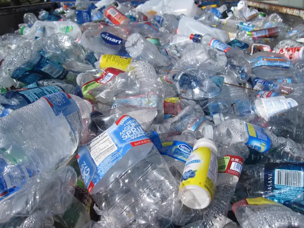 PFAS in Your Clothes Contaminates Water: Sweden Bans Forever Chemicals From Fashion by 2028
