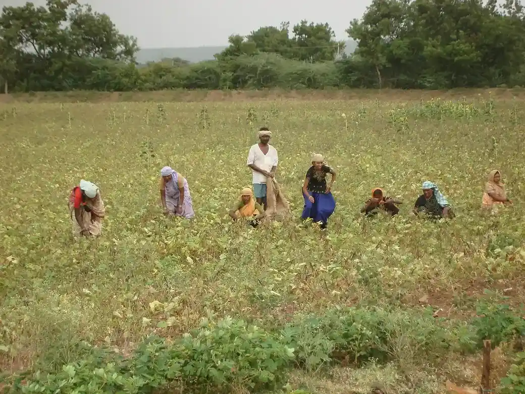 PM-Kisan Expansion Targets 80M Farm Households—₹6,000 Annual Support Addresses Input Inflation