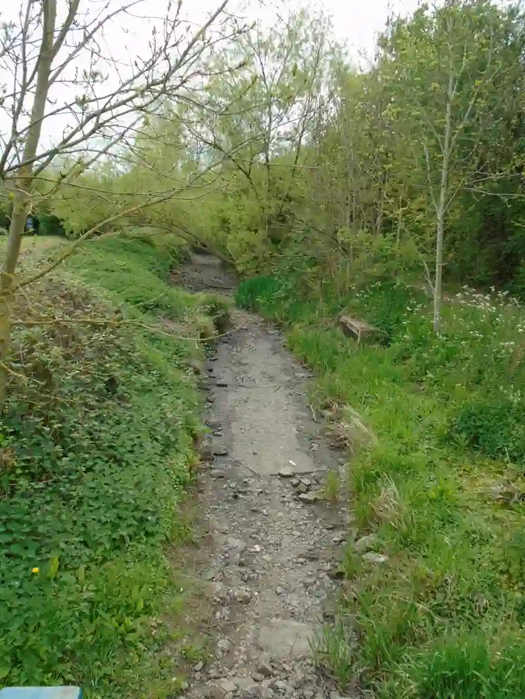 Wessex Water Hosepipe Ban 2026: First in 50 Years as UK Heatwave Triggers Water Crisis