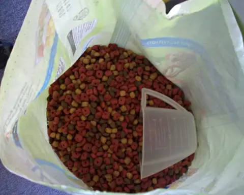 A opened large bag of dry dog food kibble