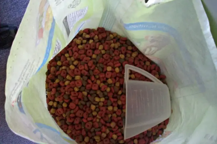 A opened large bag of dry dog food kibble