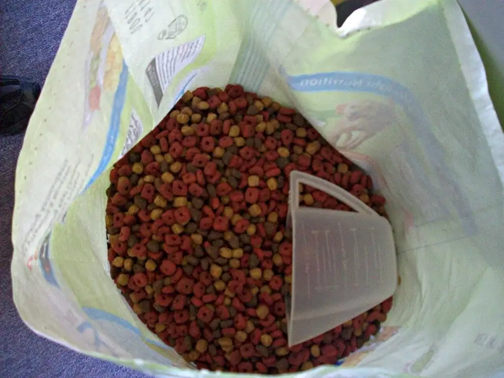 A opened large bag of dry dog food kibble