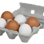 FDA Upgrades Midwest Poultry Egg Recall to Class I as Salmonella Cases Reach 98 Across 17 States