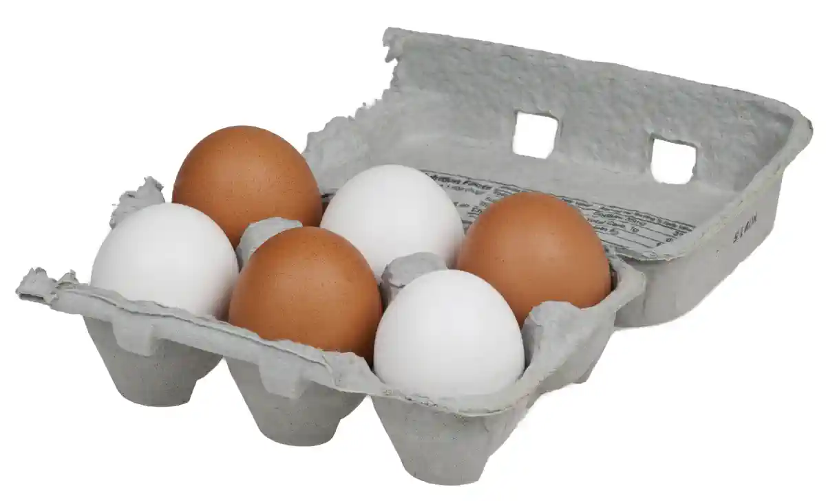FDA Upgrades Midwest Poultry Egg Recall to Class I as Salmonella Cases Reach 98 Across 17 States