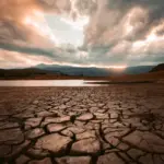 UK Wildfire Crisis: 2,800 Heat Deaths, Worst Harvest Since 1984