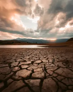 Cracked dry earth in a drought-straced field