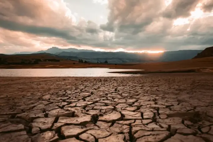 Cracked dry earth in a drought-straced field