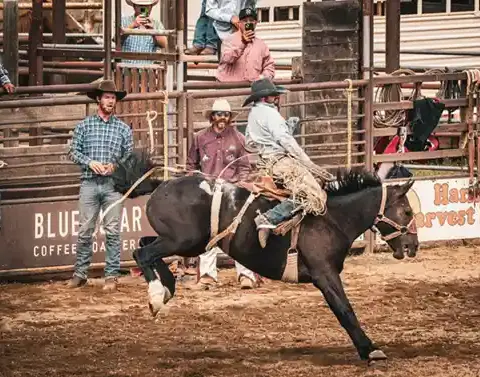A saddle bronc horse mid-stride with a rider in a rodeo arena.
