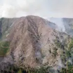 Rain Buys Time as Belgium’s Record Wildfire Hits Peat Bogs