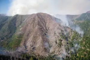 Smoke rises from a forest during a wildfire.
