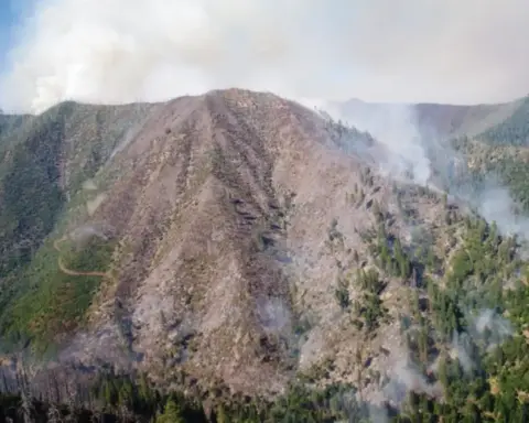 Smoke rises from a forest during a wildfire.