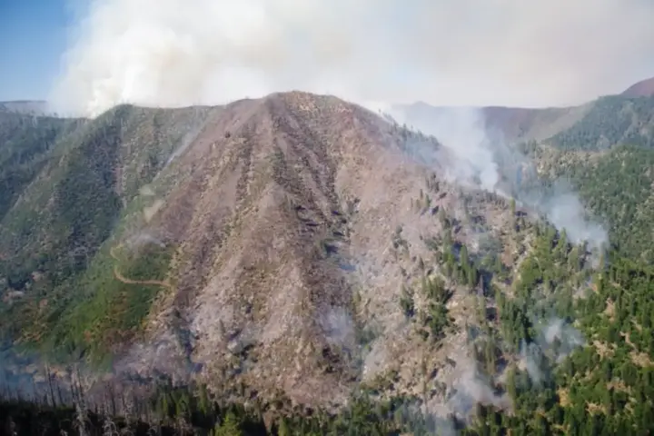 Smoke rises from a forest during a wildfire.