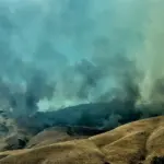 San Diego Man Arrested for Arson in 130-Acre Sorrento Valley Fire