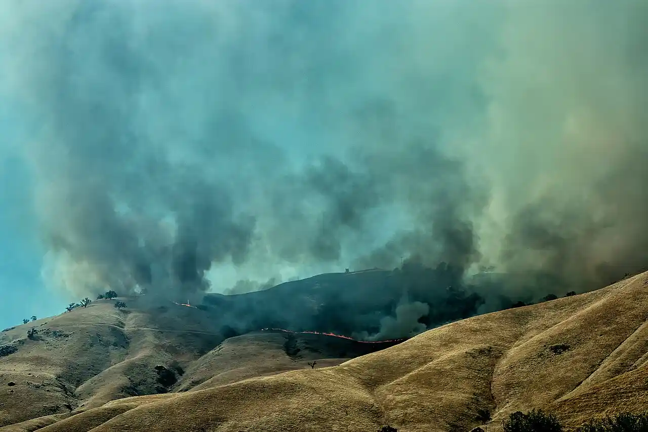 San Diego Man Arrested for Arson in 130-Acre Sorrento Valley Fire
