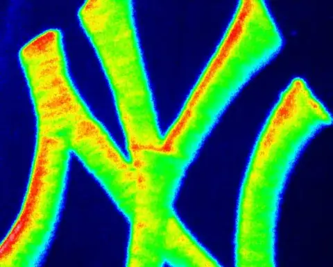 New York Yankees baseball scene, 2013