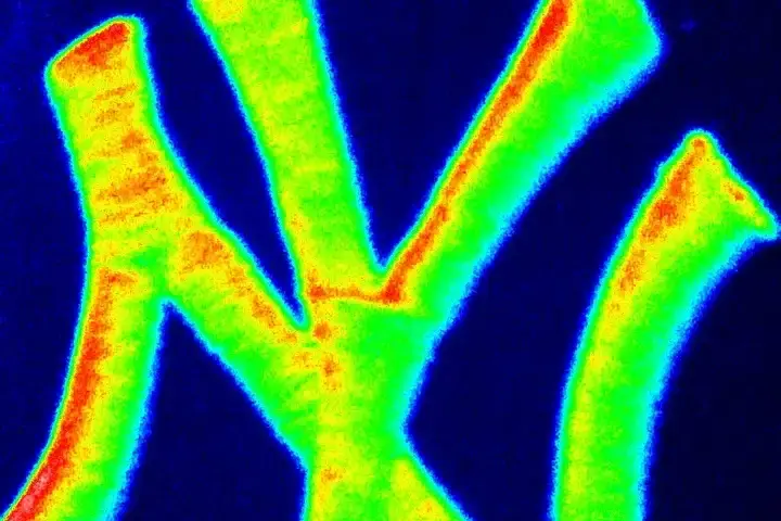 New York Yankees baseball scene, 2013