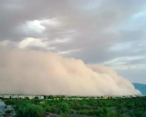 Dust storm approaching a desert community in the U.S. Southwest near the Arizona border