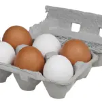Salmonella Outbreak Infects 207 as UK Cases Hit Decade High from Imported Eggs