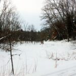 Snow-covered winter landscape in Wisconsin
