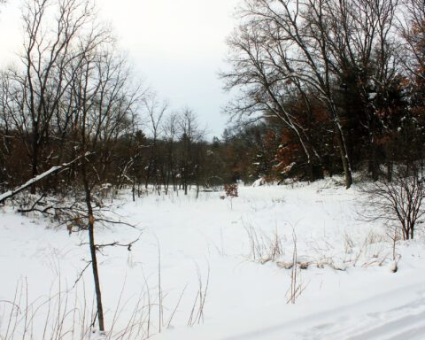 Snow-covered winter landscape in Wisconsin