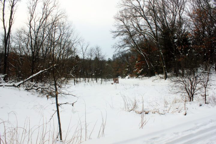 Snow-covered winter landscape in Wisconsin