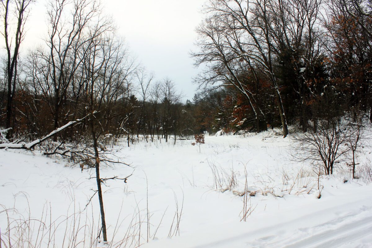 Farmers’ Almanac Announces 210th Edition: Wisconsin Winter 2026-2027 Forecast Released