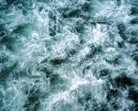 Ocean waves in the Pacific Ocean