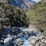 Ten Days Trapped Underground: Chinese National and Two Workers Pulled Alive from Nepal Hydropower Tunnel
