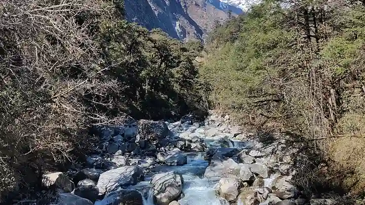 Ten Days Trapped Underground: Chinese National and Two Workers Pulled Alive from Nepal Hydropower Tunnel