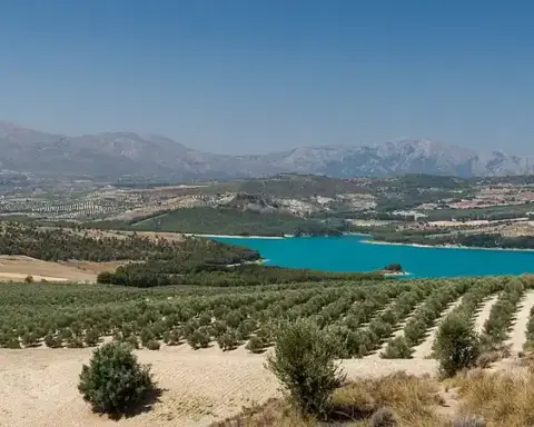 Arid sun-drenched rolling terrain and parched soils in Andalusia, southern Spain, under intense summer heat.