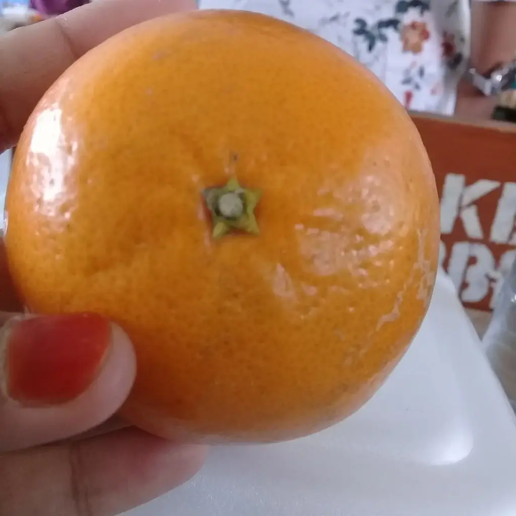 Queensland Coroner: Vitamin C Deficiency Likely Factor in Six-Year-Old’s Death Following Surgery