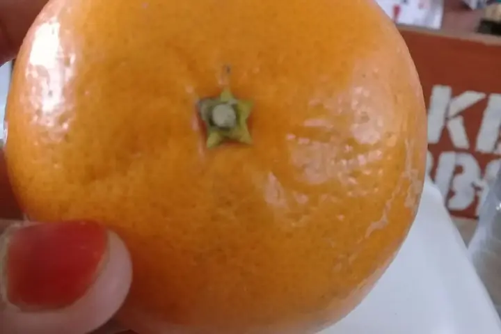 Whole and cross-section sliced fresh citrus oranges providing natural dietary ascorbic acid.