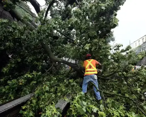 Emergency response crews cutting and clearing large downed trees blocking transportation corridors following a severe thunderstorm.