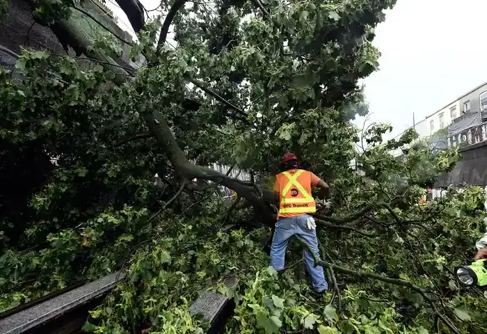 Emergency response crews cutting and clearing large downed trees blocking transportation corridors following a severe thunderstorm.