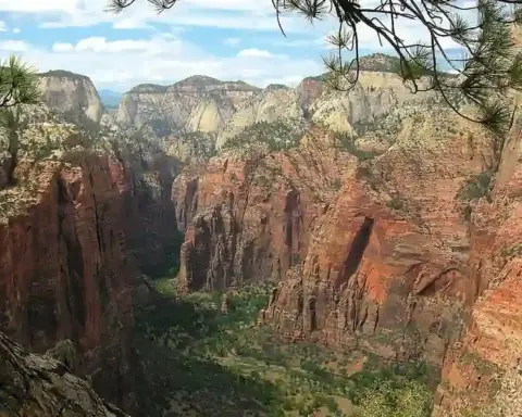 Towering red and white sandstone cliffs of Angels Landing rising above the forested canyon floor in Zion National Park.