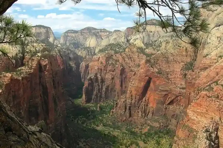 Towering red and white sandstone cliffs of Angels Landing rising above the forested canyon floor in Zion National Park.