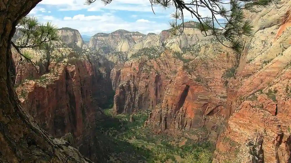 Towering red and white sandstone cliffs of Angels Landing rising above the forested canyon floor in Zion National Park.