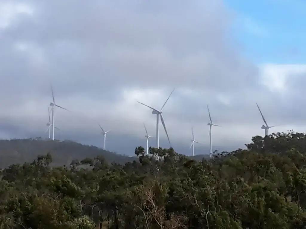 Wind turbines at Mount Emerald Wind Farm, representing Australia's renewable energy sector accelerating with 30-day EPBC approvals.