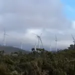 Wind turbines at Mount Emerald Wind Farm, representing Australia's renewable energy sector accelerating with 30-day EPBC approvals.