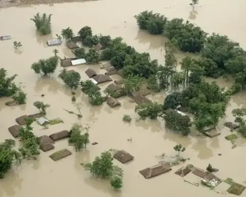Aerial view of homes and trees surrounded by floodwater in Bihar, India