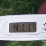White digital thermometer with LCD screen reading 41.1°C against green outdoor background