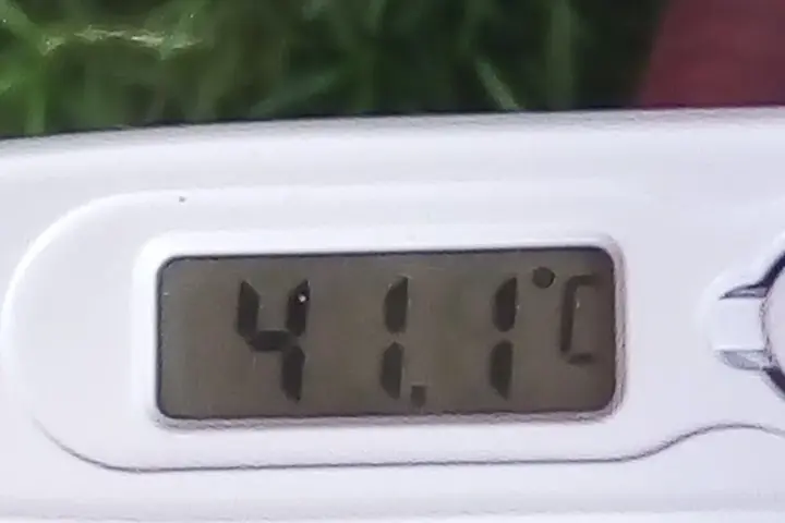 White digital thermometer with LCD screen reading 41.1°C against green outdoor background