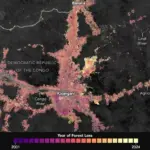 Satellite view of deforestation near Kisangani in the Democratic Republic of Congo, the kind of forest clearing now happening in Dodamarg near Mopa Airport.