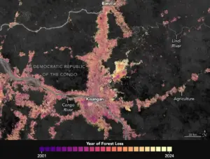 Satellite view of deforestation near Kisangani in the Democratic Republic of Congo, the kind of forest clearing now happening in Dodamarg near Mopa Airport.